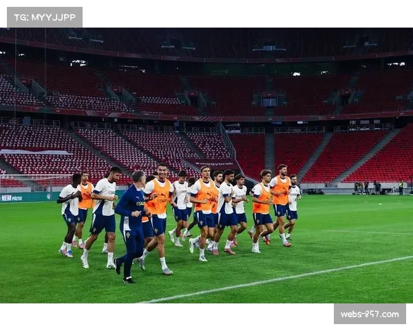 非洲区预选赛全部结束 各队备战明年世界杯 非洲区预选赛全部结束 各队备战明年世界杯